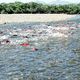 Image for article titled These Are the Most Extreme Migrations in the Animal Kingdom